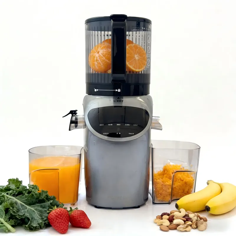 Electric Slow Juicer Cold Press - Estrattore di Succo Elettrico a Freddo