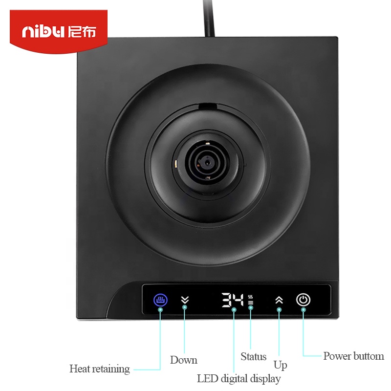 Bollitore elettrico in acciaio - Electric Kettle Temperature Control recensione e prezzo