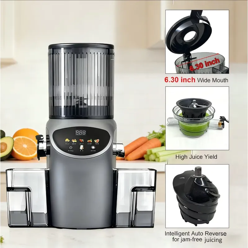 Estrattore di Succo Elettrico  - Electric Slow Juicer Cold Press recensione e prezzo